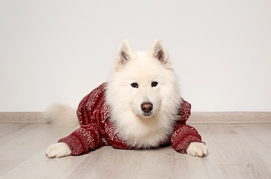 Photo of Cute dog in warm sweater on floor. Christmas celebration