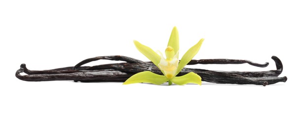 Vanilla pods and beautiful flower isolated on white