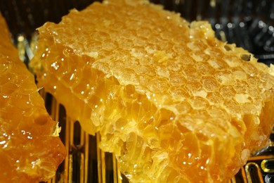 Photo of Natural honeycombs with tasty honey in plastic container, closeup