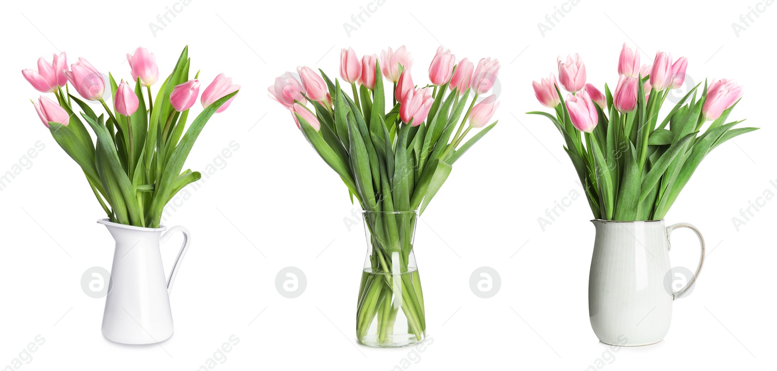 Image of Collage of stylish vases with beautiful tulip bouquets on white background