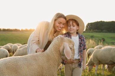 Photo of Mother and son feeding sheep on pasture. Farm animals