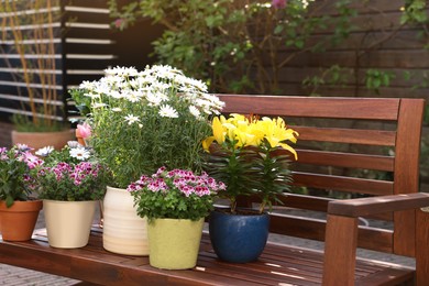 Many different beautiful blooming plants in flowerpots on wooden bench outdoors