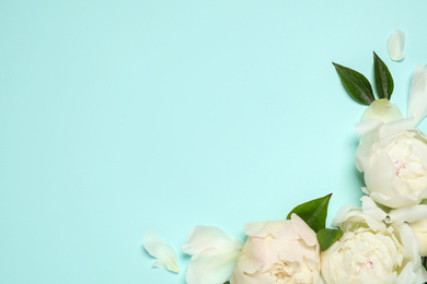 Photo of Beautiful white peonies on turquoise background, flat lay. Space for text