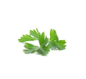 Photo of Fresh green parsley on white background