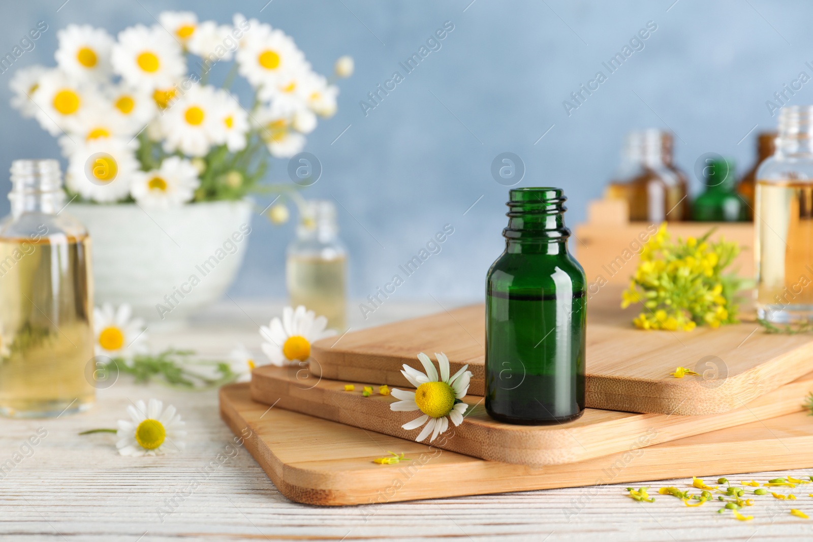 Photo of Bottle of essential oil and flowers on wooden table against color background, space for text