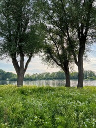 Photo of Beautiful view on green bank with trees near lake. Picturesque landscape