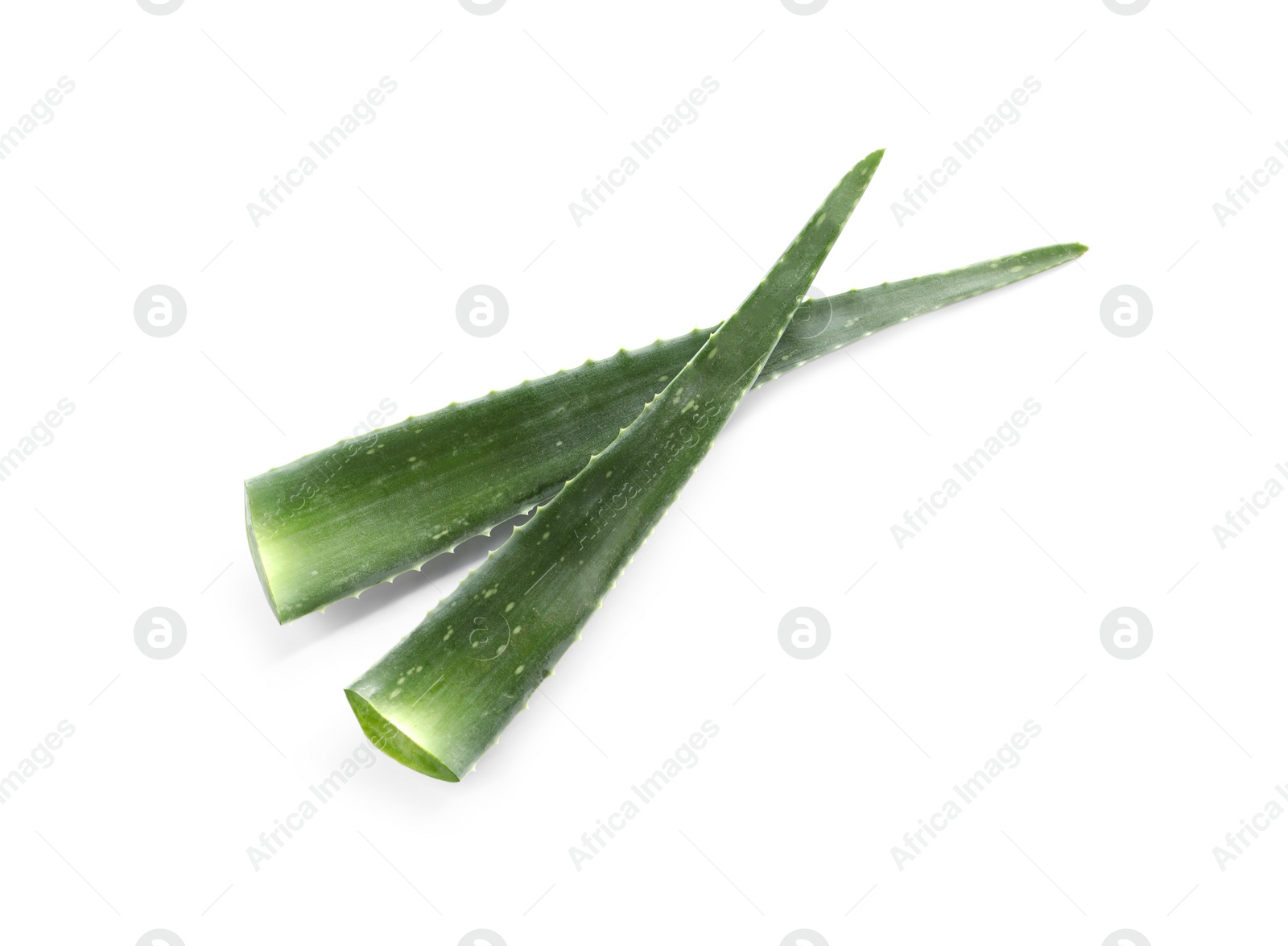 Photo of Green aloe vera leaves isolated on white, top view