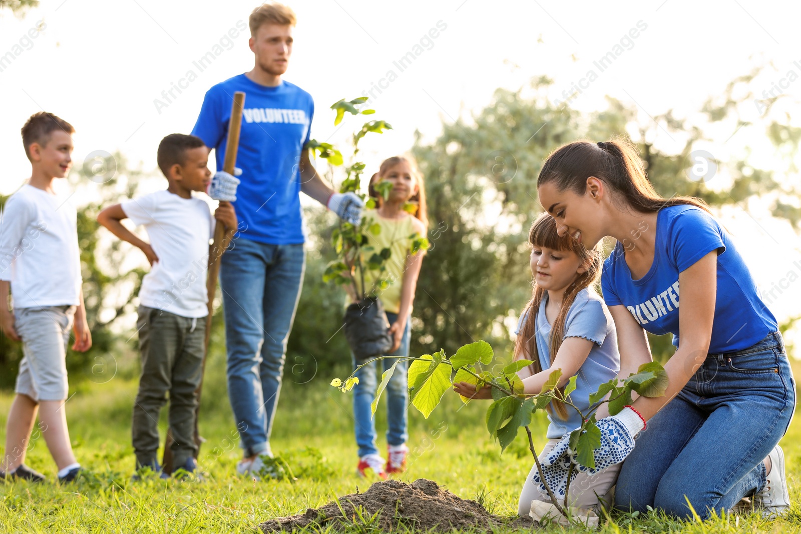 Photo of Kids planting trees with volunteers in park