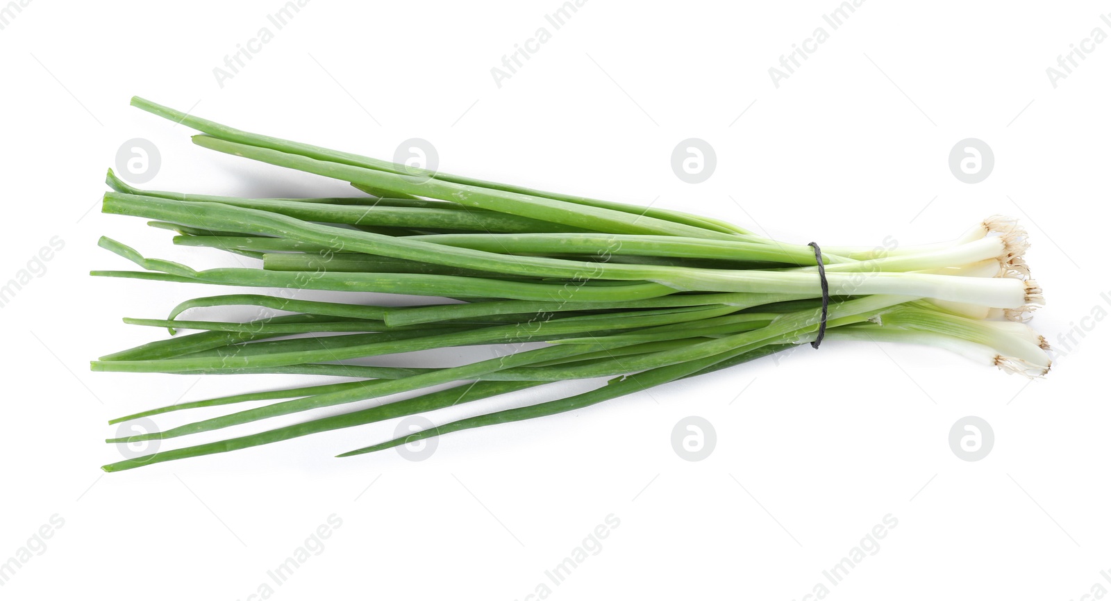 Photo of Bunch of fresh green onions on white background