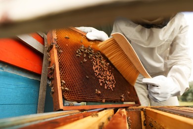 Photo of Beekeeper in uniform brushing honey frame at apiary, closeup