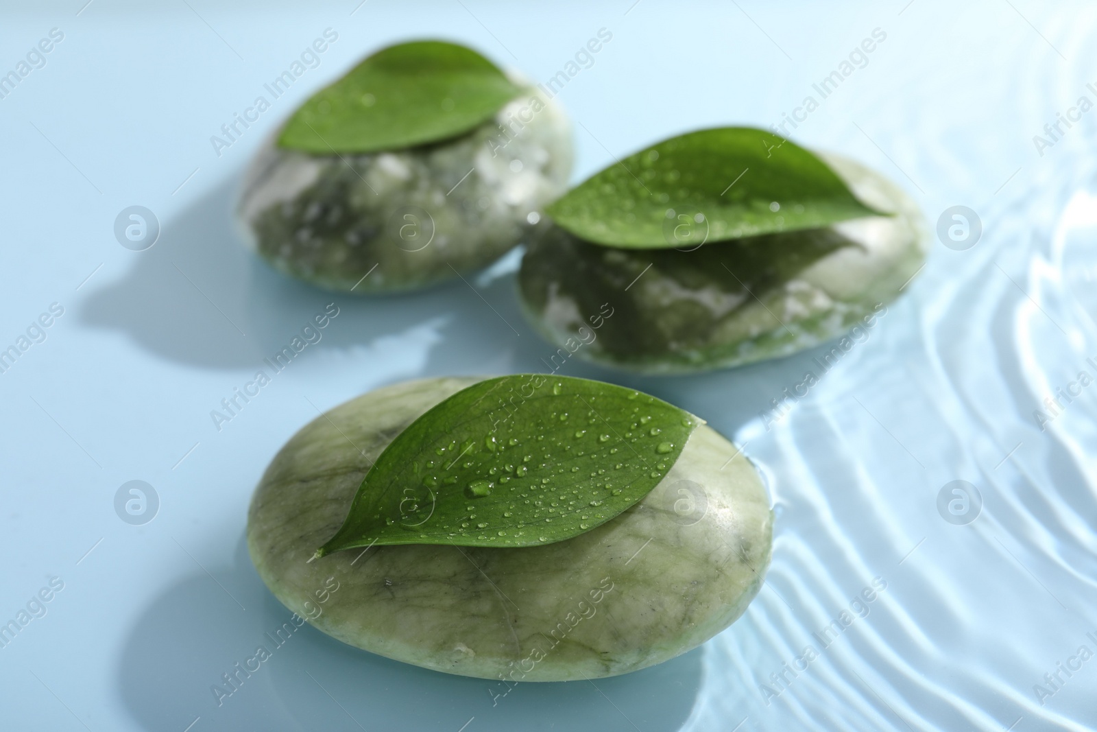 Photo of Spa stones and green leaves on light blue background, closeup