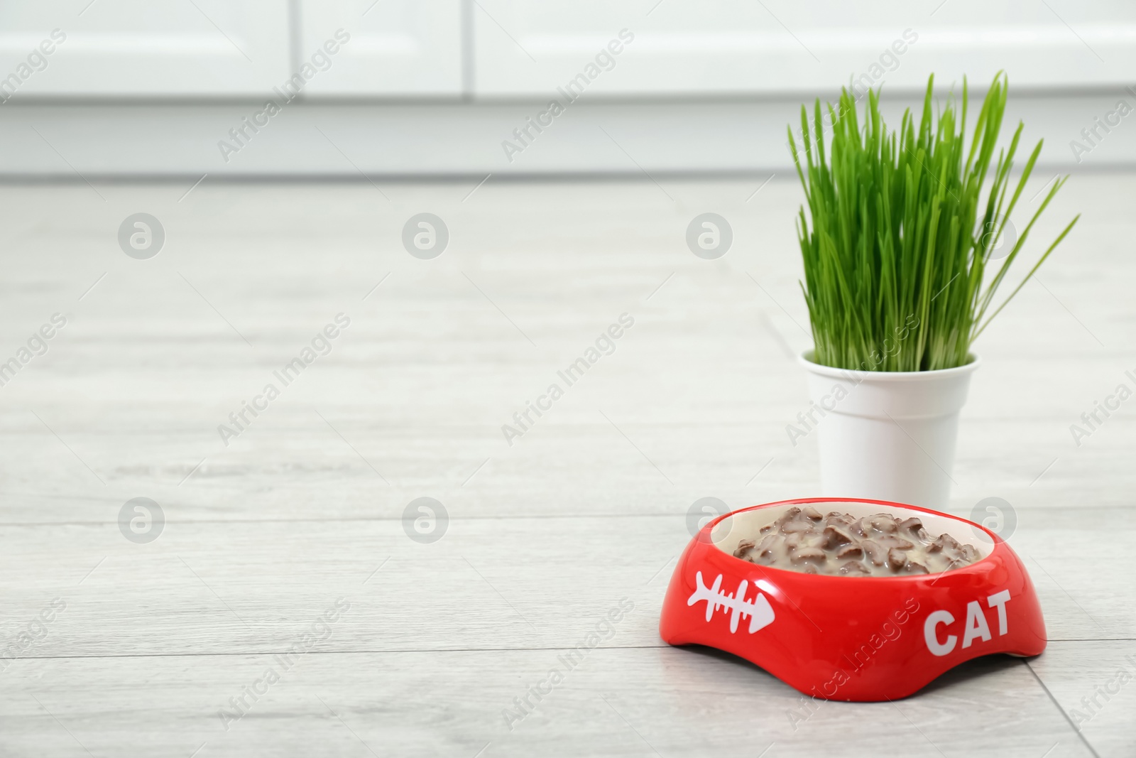 Photo of Bowl of wet pet food and green grass on floor, space for text