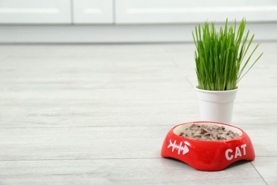 Photo of Bowl of wet pet food and green grass on floor, space for text