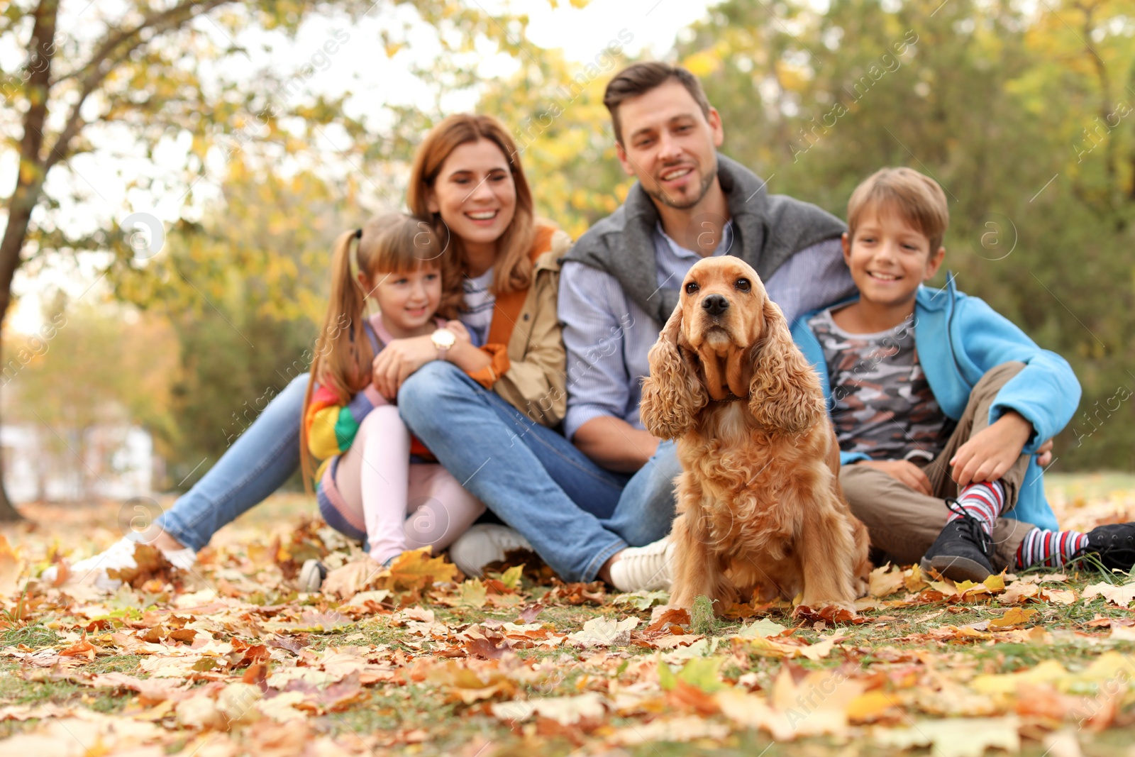 Photo of Happy family with children and dog in park. Autumn walk