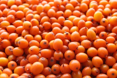 Photo of Heap of fresh ripe sea buckthorn berries as background