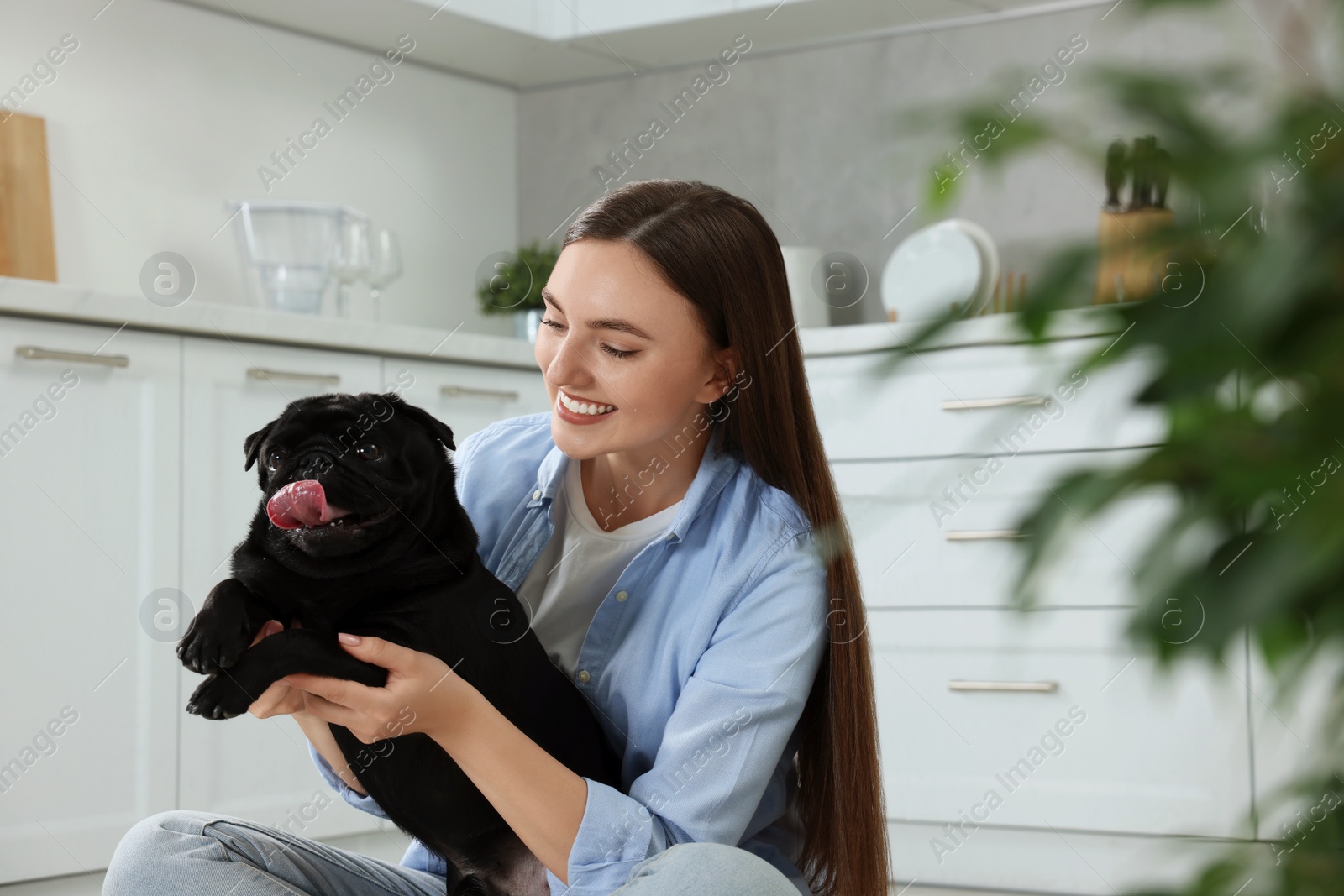 Photo of Beautiful young woman holding her adorable Pug dog in kitchen