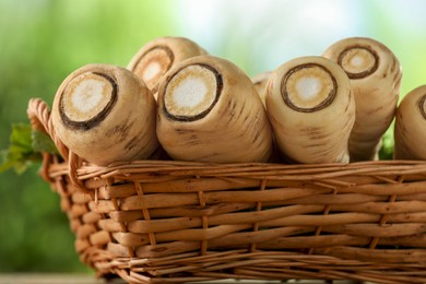 Photo of Wicker basket with delicious fresh ripe parsnips on wooden table outdoors, closeup