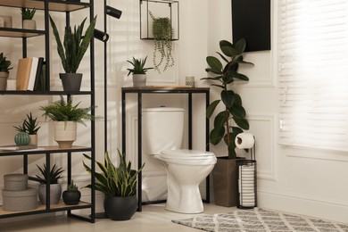 Photo of Stylish bathroom interior with toilet bowl and many beautiful houseplants