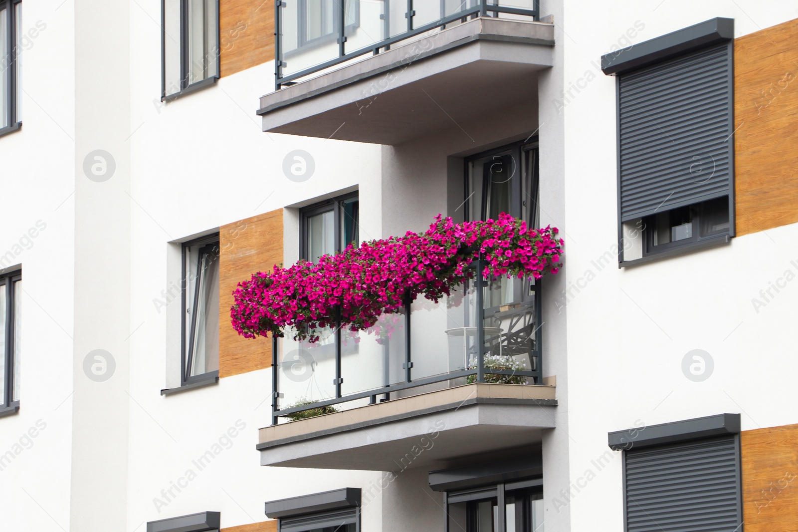 Photo of Balcony decorated with beautiful blooming potted flowers