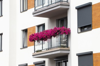 Balcony decorated with beautiful blooming potted flowers