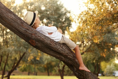 Cute little boy on tree outdoors. Child spending time in nature