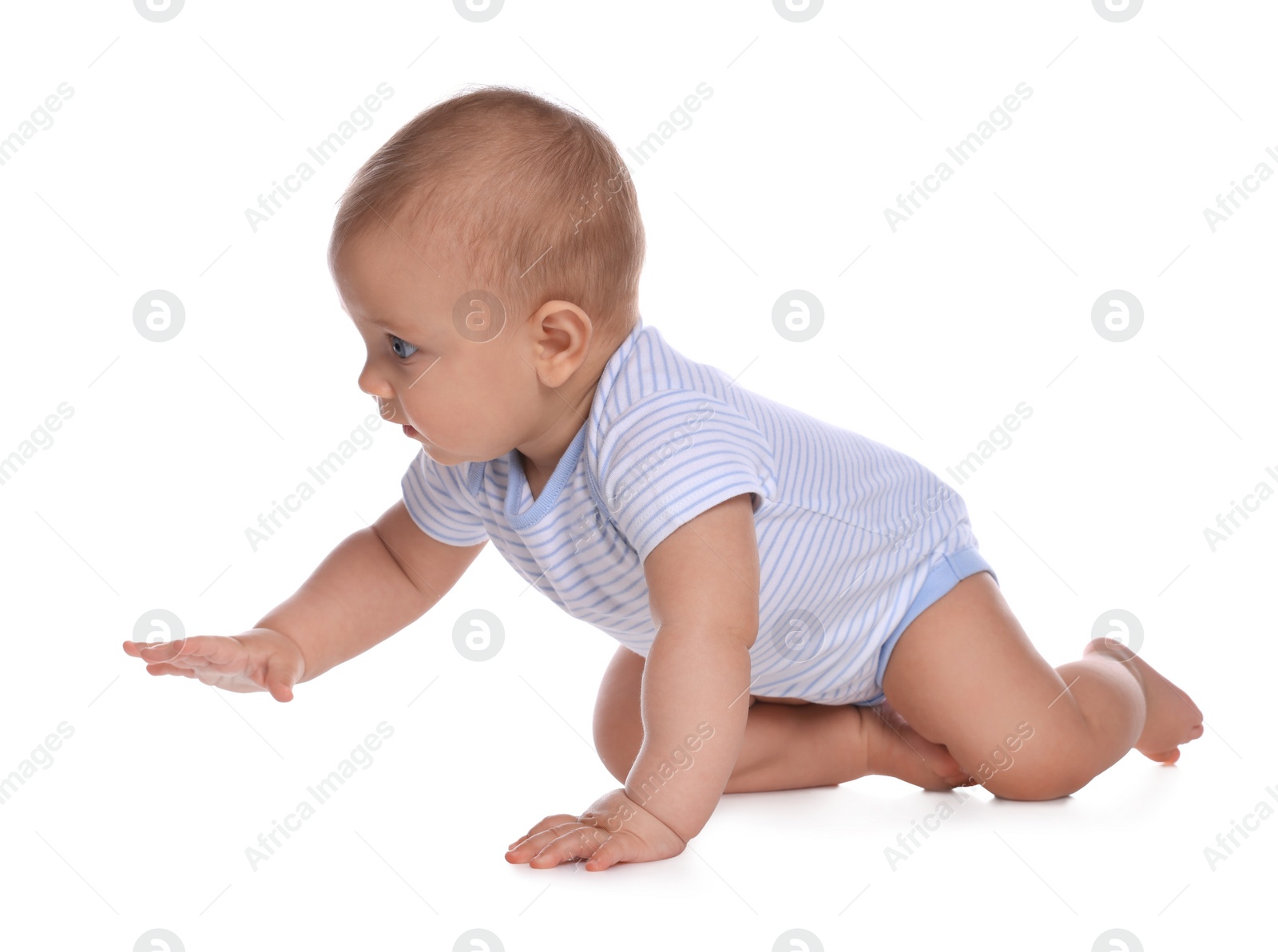 Photo of Cute little baby boy crawling on white background