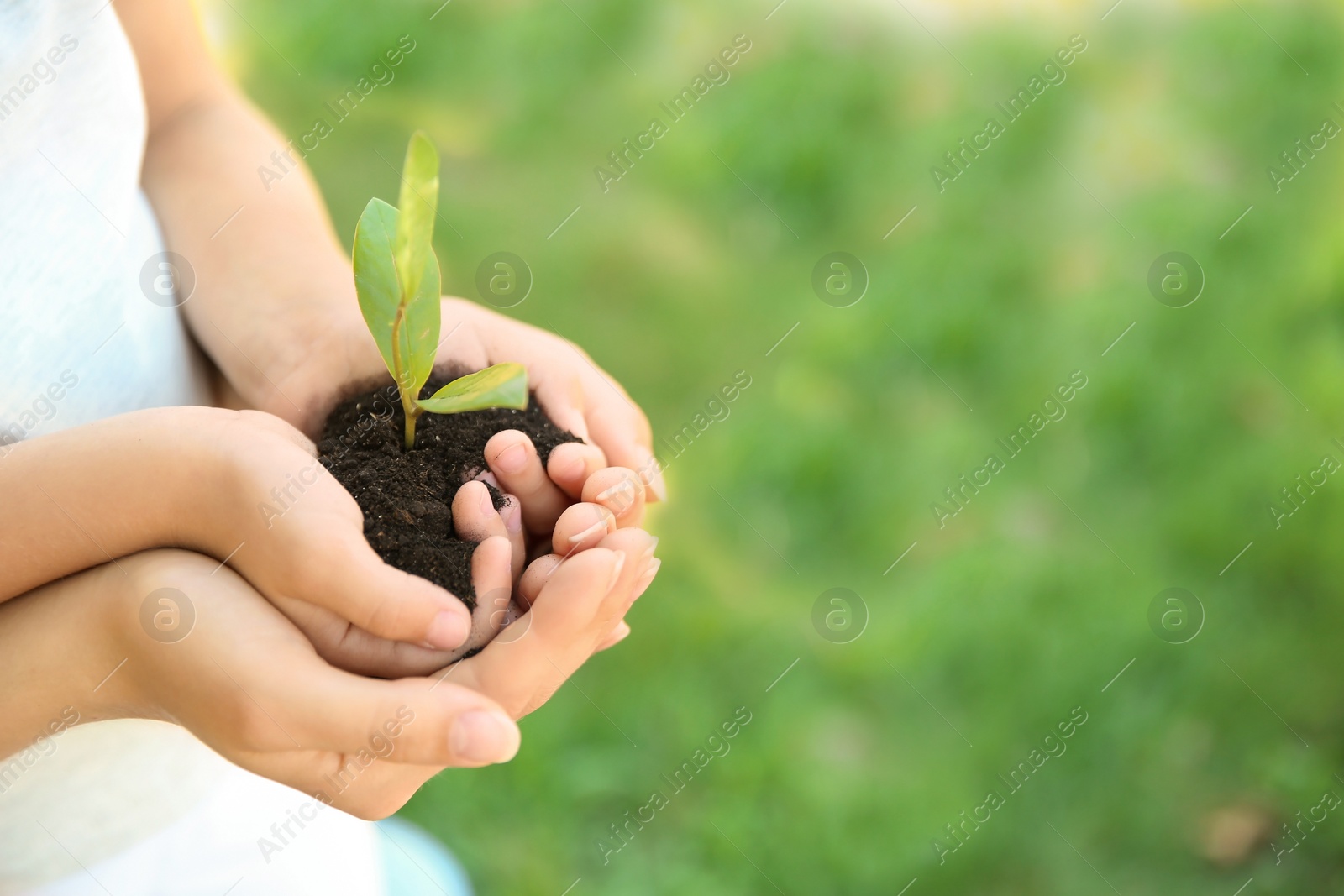 Photo of Woman and her child holding soil with green plant in hands on blurred background. Family concept