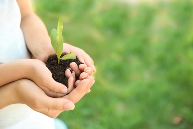 Woman and her child holding soil with green plant in hands on blurred background. Family concept