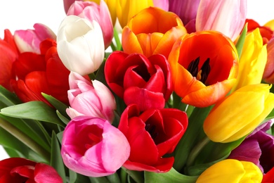 Beautiful bouquet of bright tulip flowers on light background, closeup