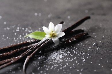 Photo of Vanilla pods, flower, leaf and sugar on grey textured table, closeup