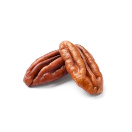 Photo of Two tasty pecan nuts isolated on white