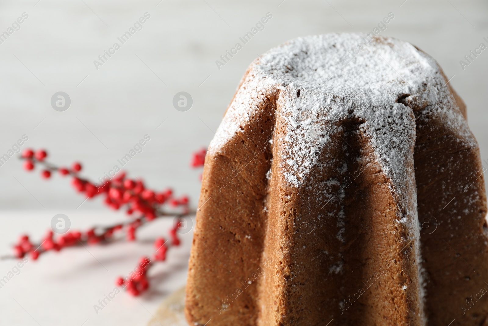 Photo of Delicious Pandoro cake decorated with powdered sugar, closeup and space for text. Traditional Italian pastry