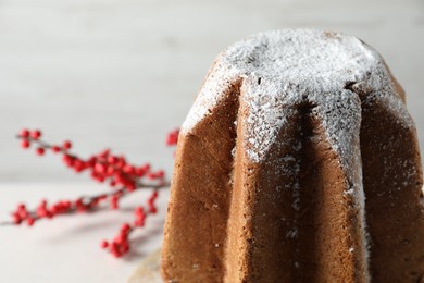 Delicious Pandoro cake decorated with powdered sugar, closeup and space for text. Traditional Italian pastry