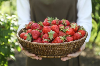 Woman holding wicker basket with ripe strawberries outdoors, closeup