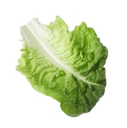 Photo of Fresh leaf of green romaine lettuce isolated on white