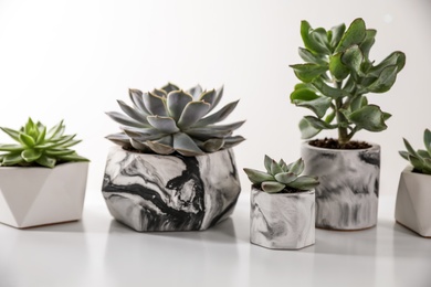 Photo of Beautiful succulents on white table. Interior decoration