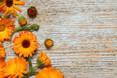 Photo of Beautiful fresh calendula flowers on wooden table, flat lay. Space for text