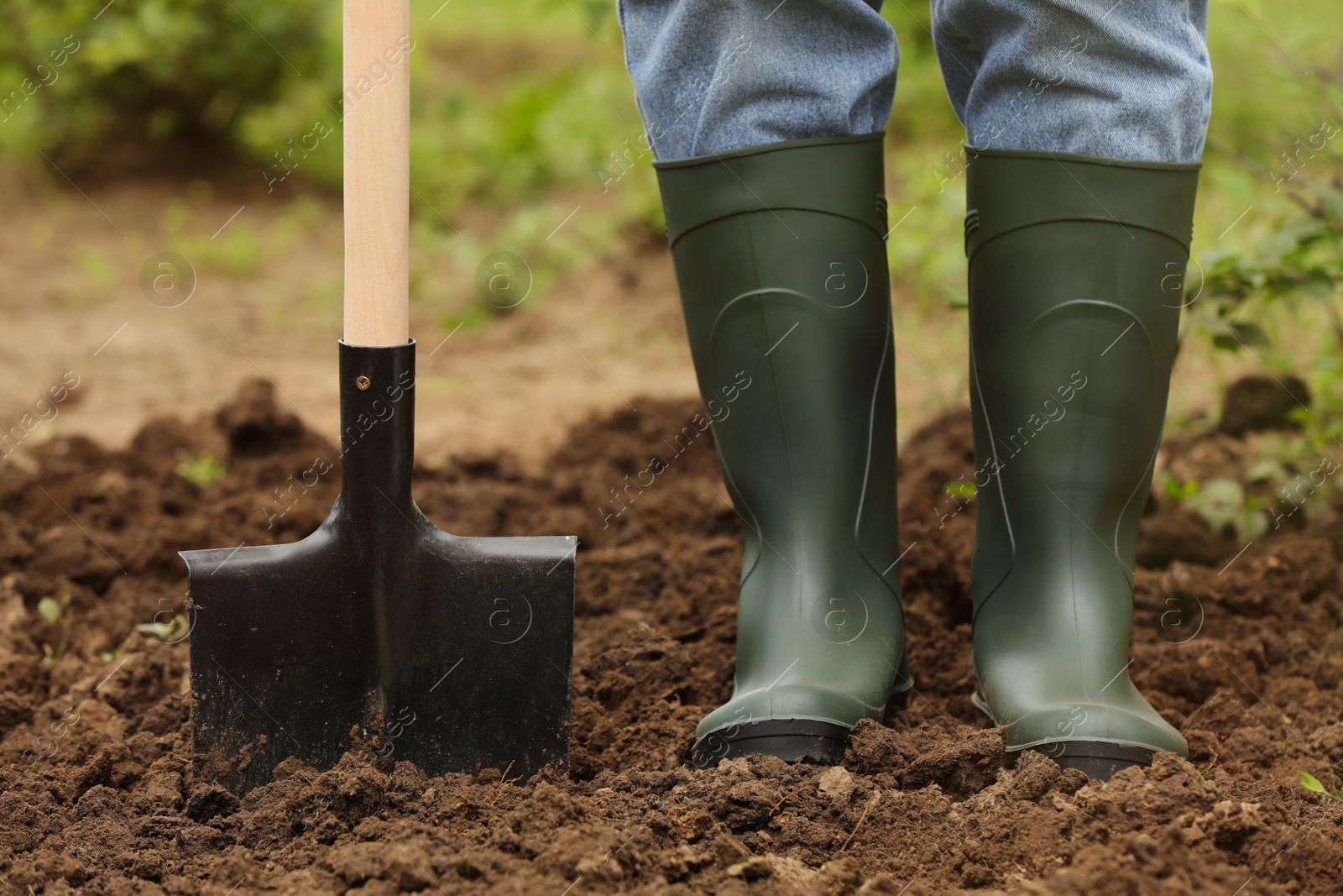 Photo of Worker in rubber boots with shovel outdoors, closeup. Gardening tool