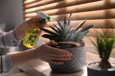 Woman spraying beautiful potted plant on window sill, closeup. Floral house decor