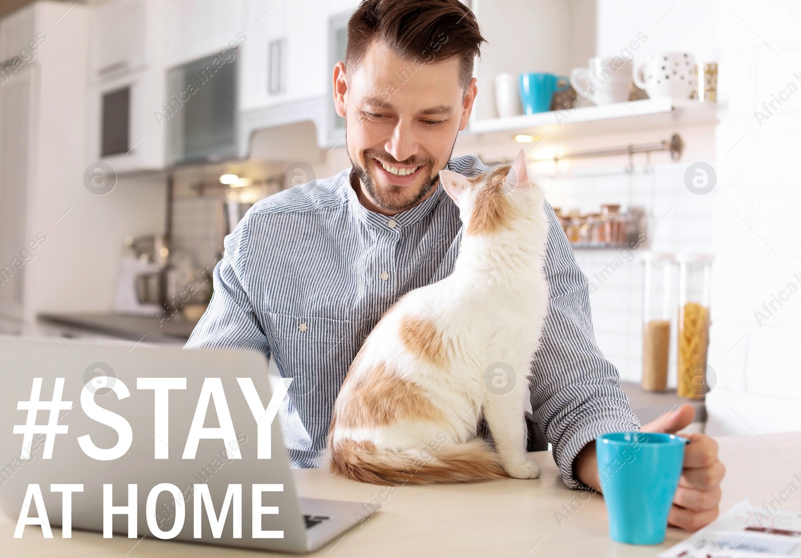 Image of Hashtag Stay At Home - protective measure during coronavirus pandemic. Man with cute cat working on laptop in kitchen