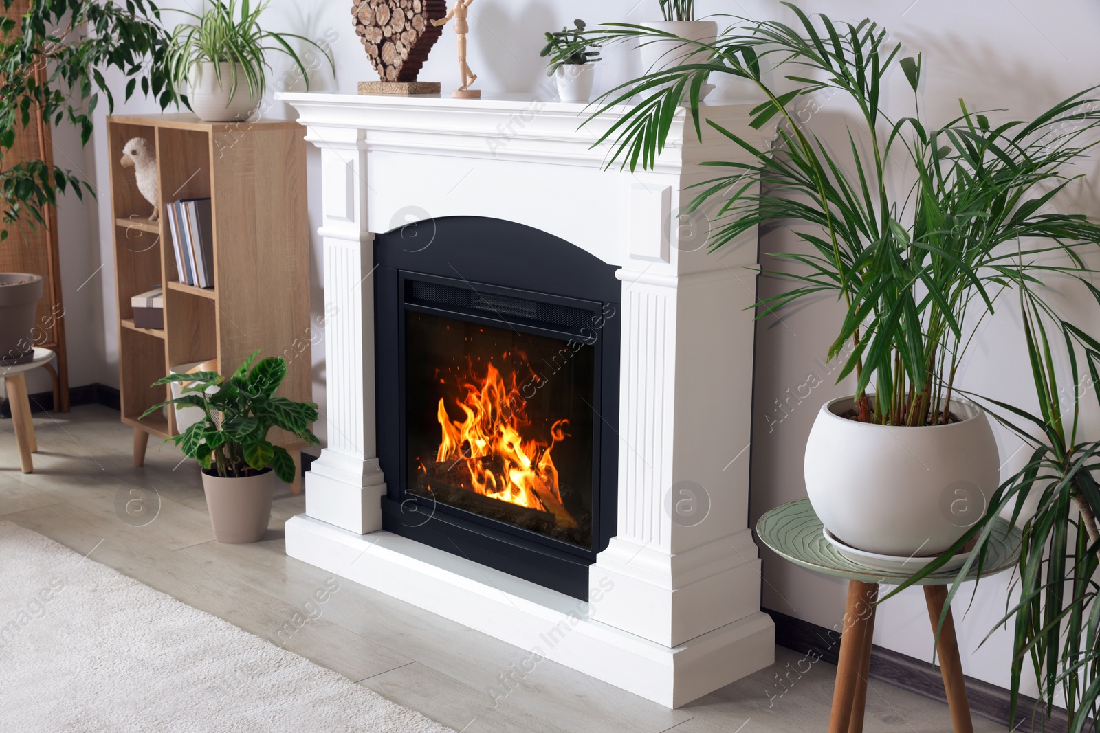 Photo of Stylish living room interior with fireplace, cabinet and houseplants