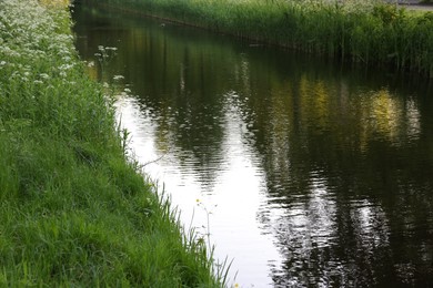 Photo of Beautiful view of channel with green reeds outdoors