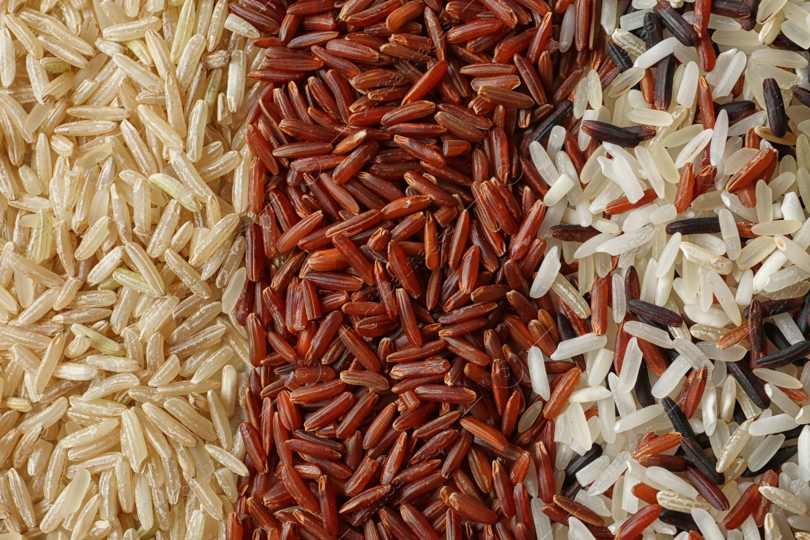 Photo of Brown and other types of rice as background, closeup