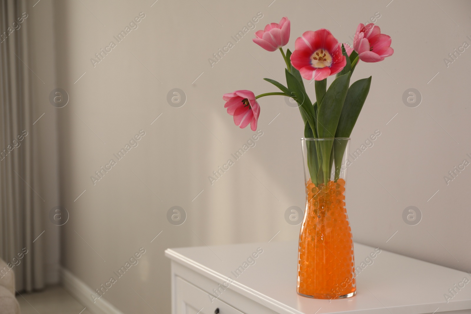 Photo of Orange filler with tulips in glass vase on white chest of drawers at home, space for text. Water beads