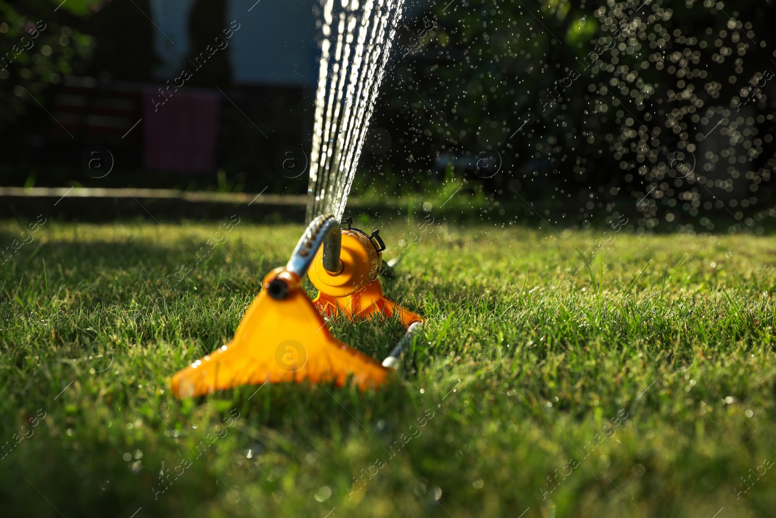 Photo of Automatic sprinkler watering green grass on sunny day outdoors. Irrigation system