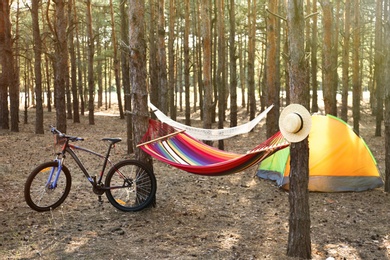 Photo of Empty hammock, camping tent and bicycle in forest on summer day