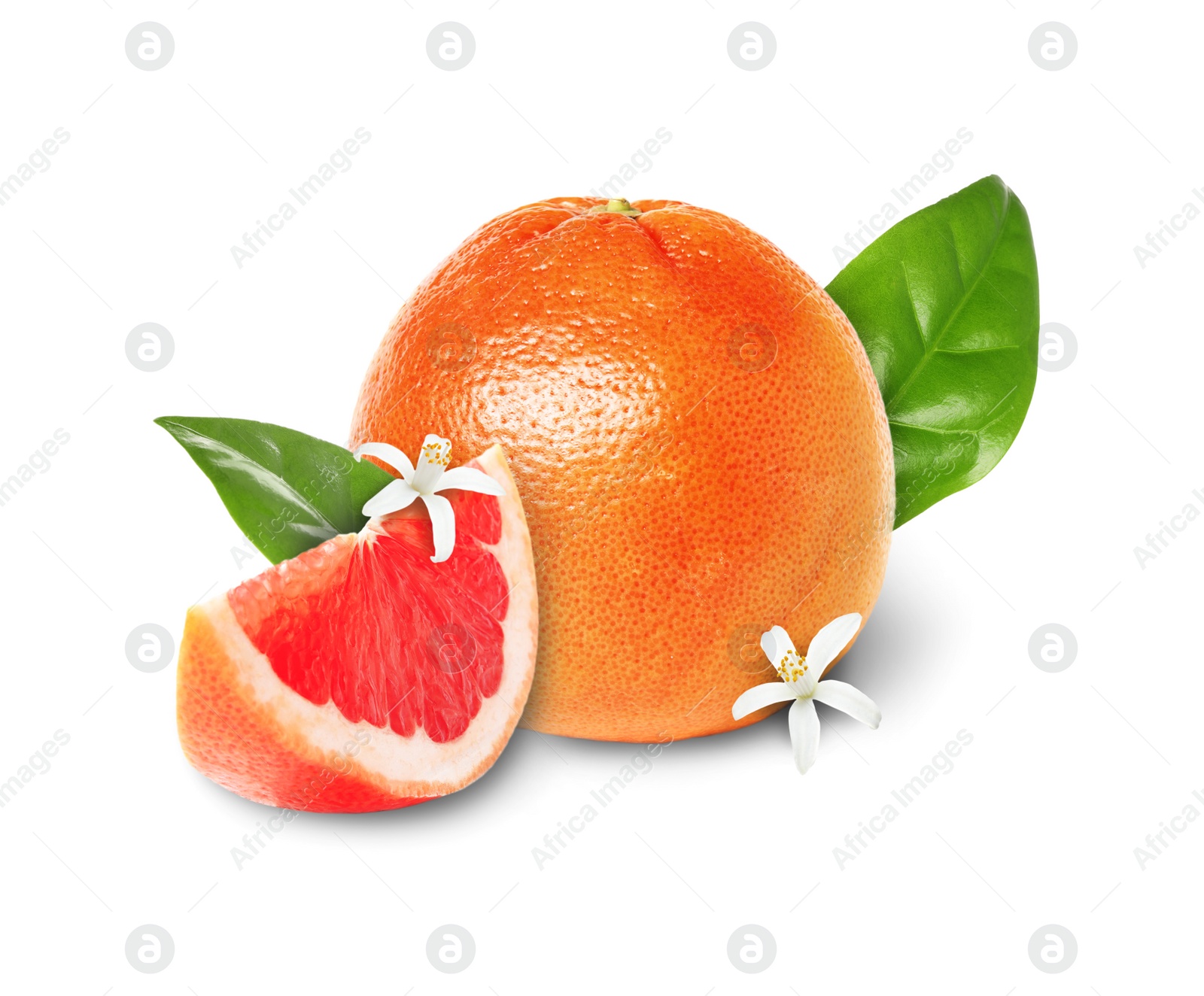 Image of Whole and cut grapefruits on white background