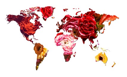 Image of World map made of beautiful flowers on white background, banner design