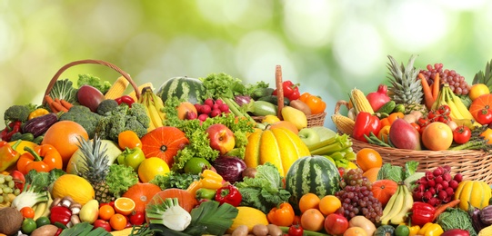 Image of Assortment of fresh organic vegetables and fruits on blurred green background. Banner design 