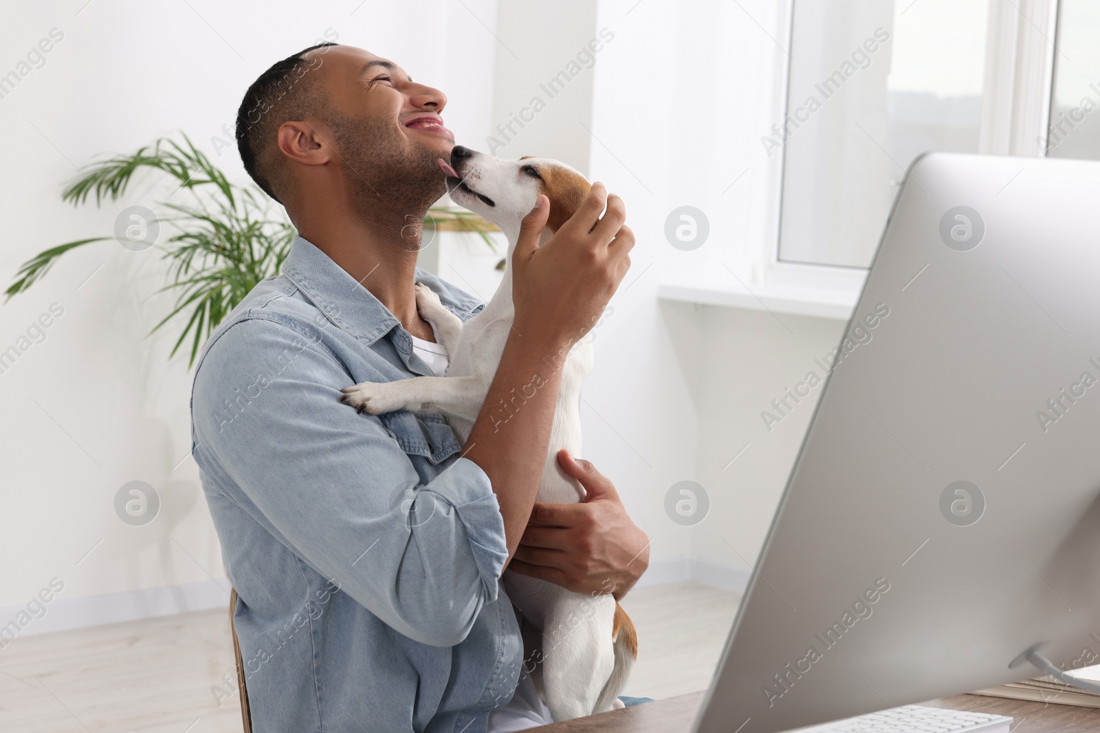 Photo of Young man with Jack Russell Terrier at desk in home office